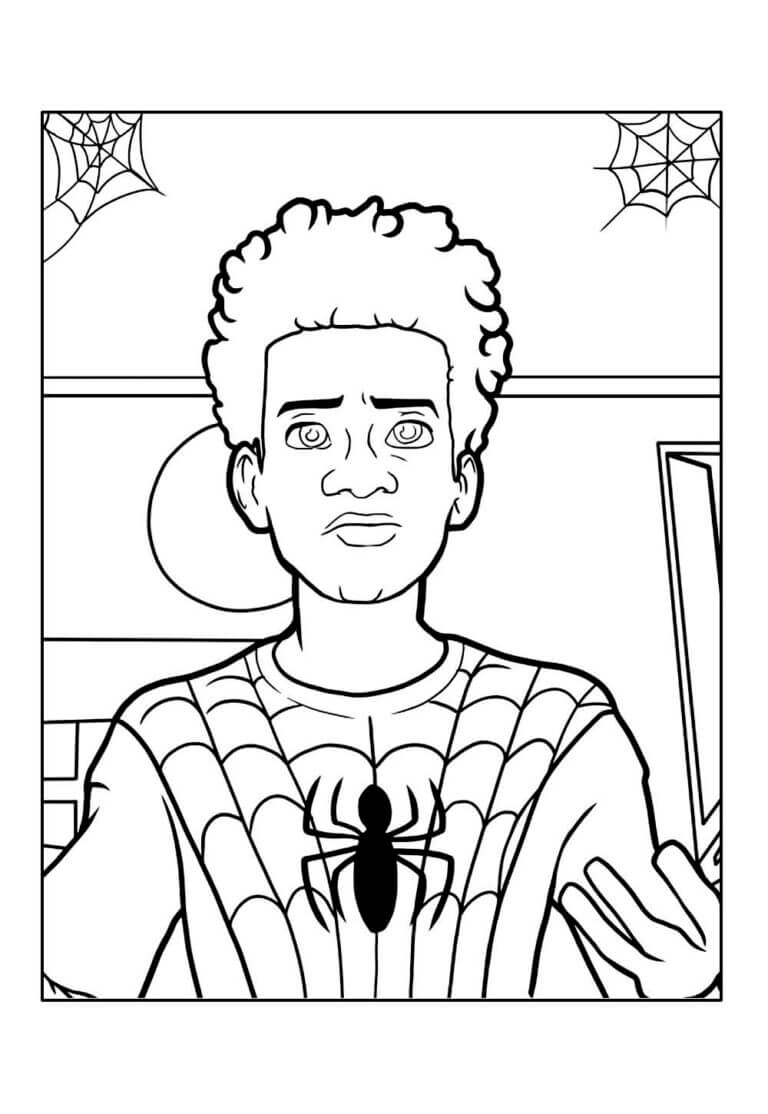 Homem-Aranha (Aranhaverso)