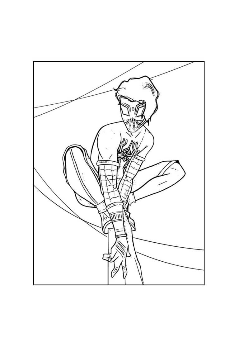 Homem-Aranha (Aranhaverso)