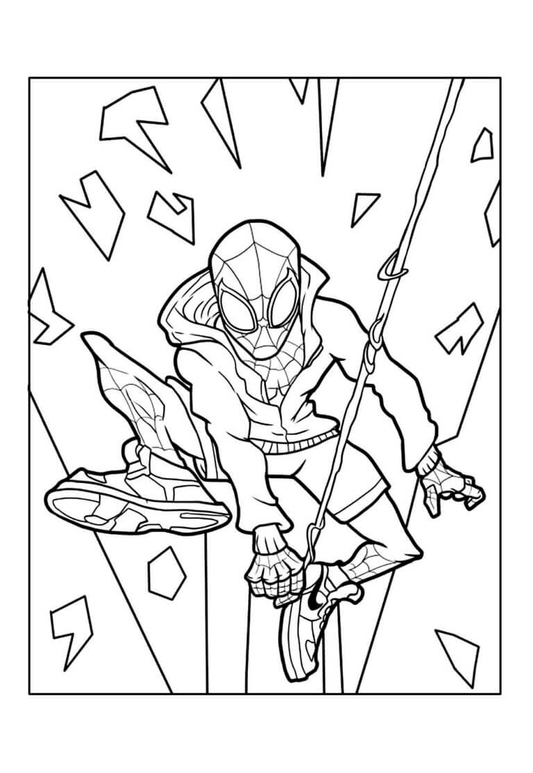 Homem-Aranha (Aranhaverso)