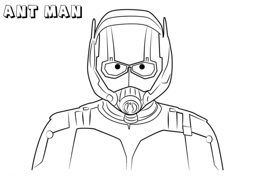 Homem-Formiga