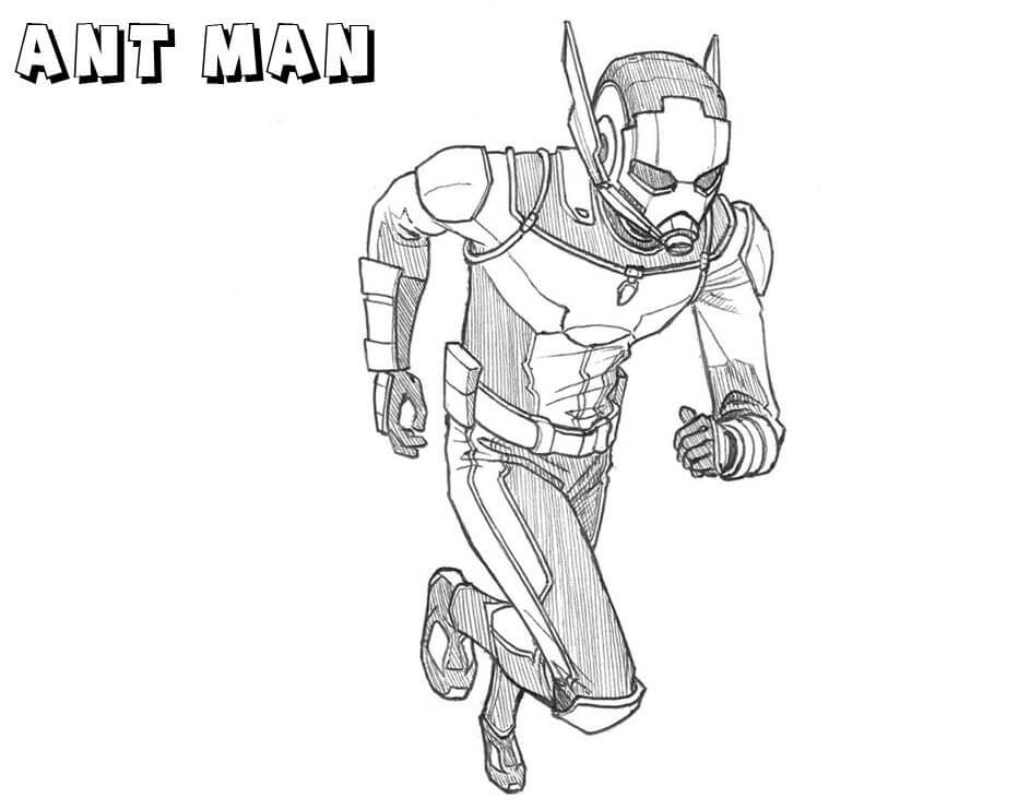 Homem-Formiga