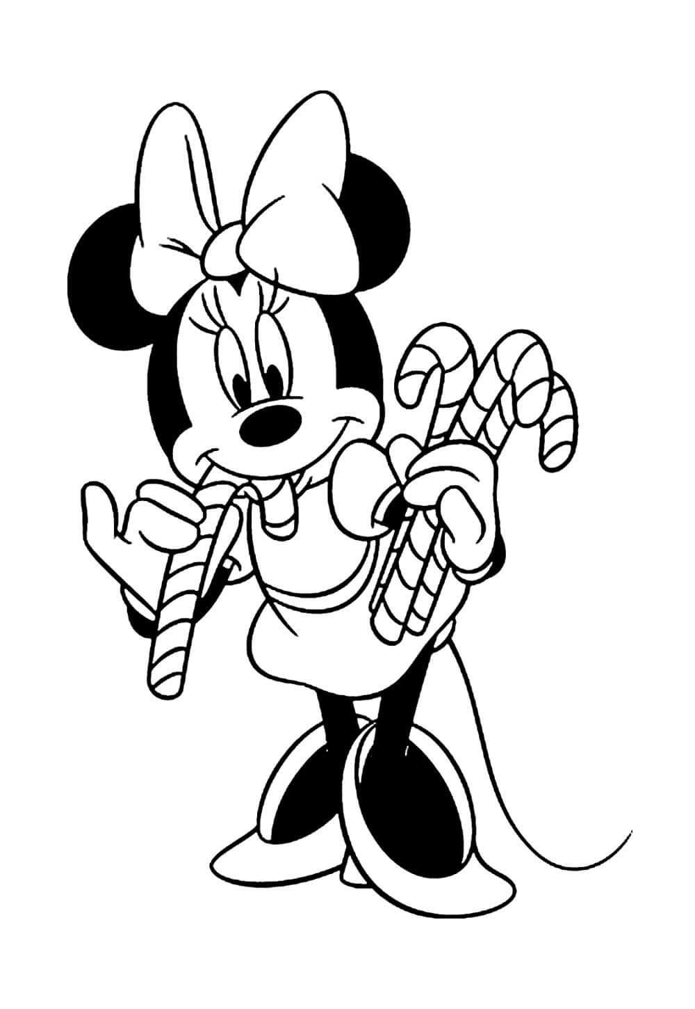 Minnie (Natal)