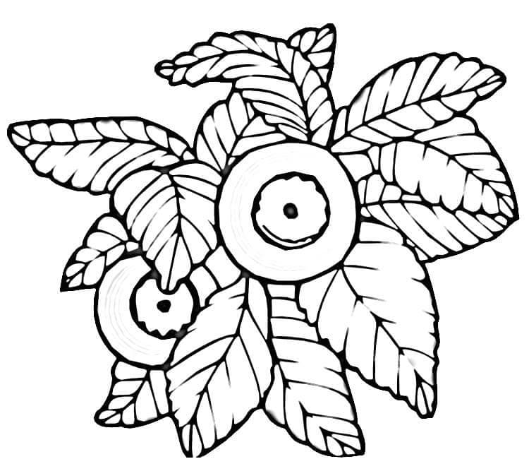 Mirtilo