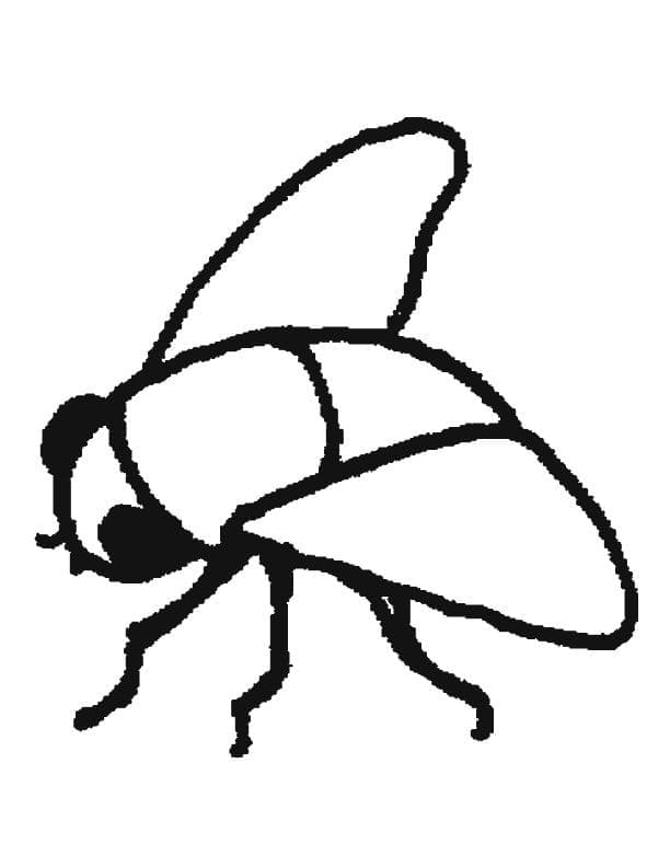 Mosca