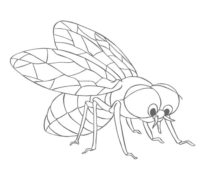 Mosca
