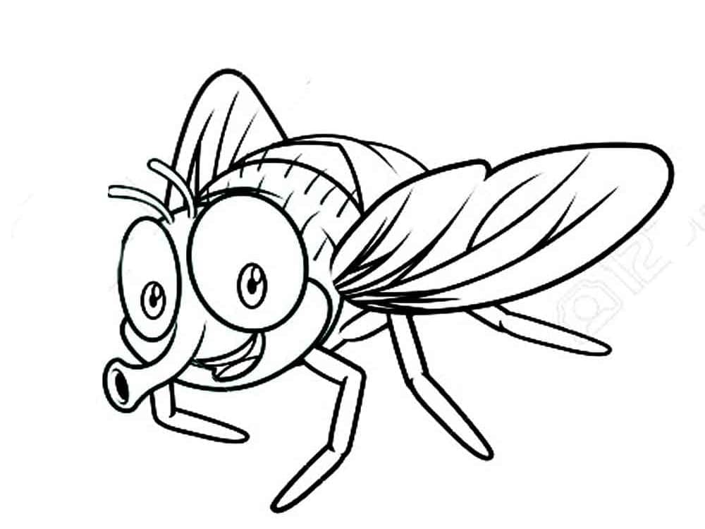 Mosca
