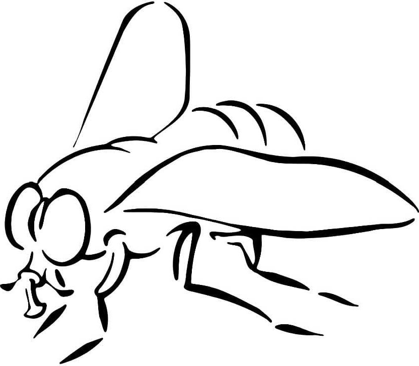 Mosca