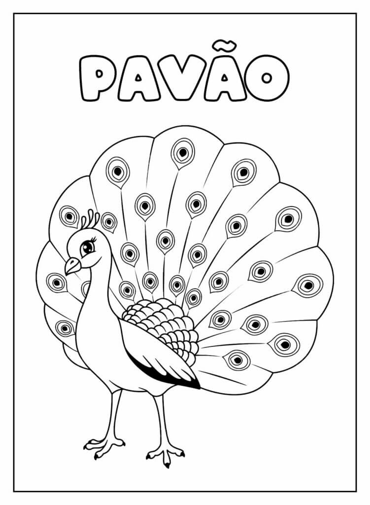 Pavão