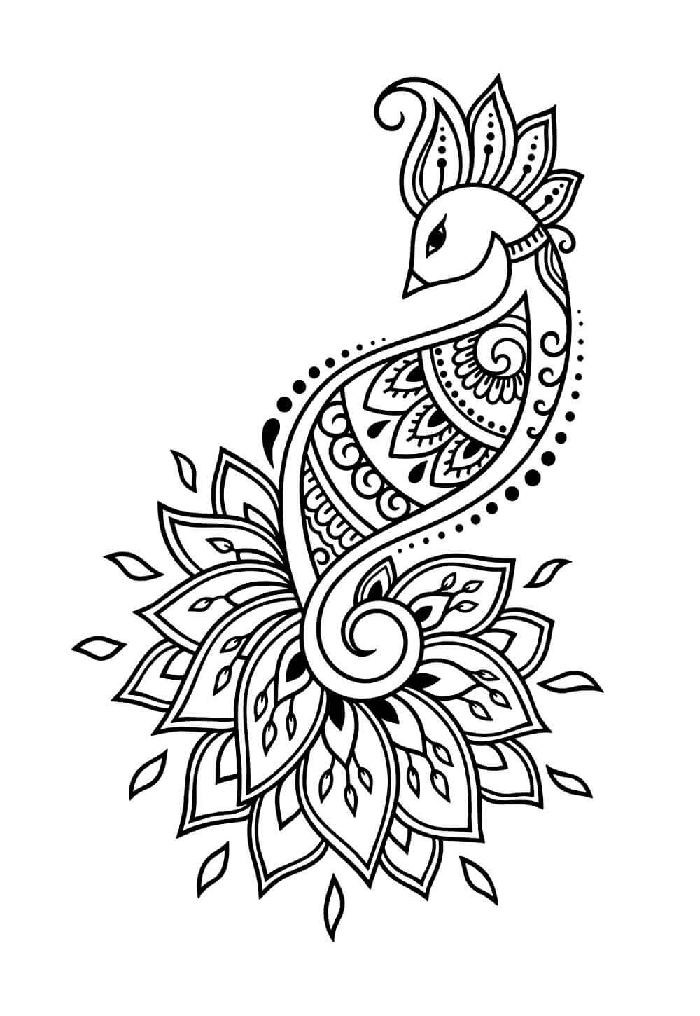 Pavão