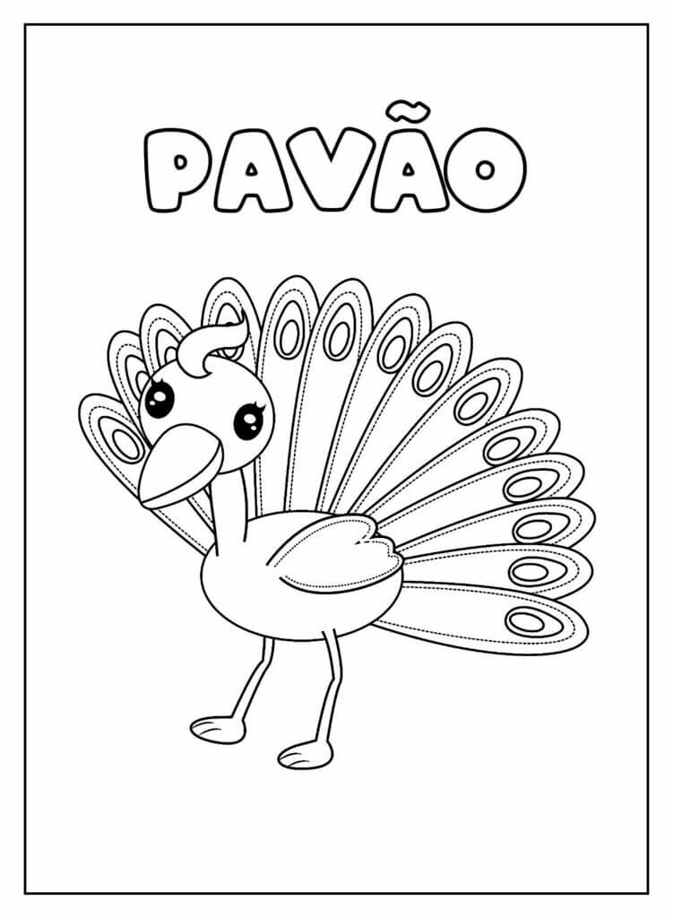 Pavão