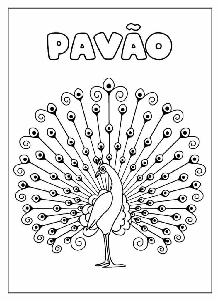 Pavão