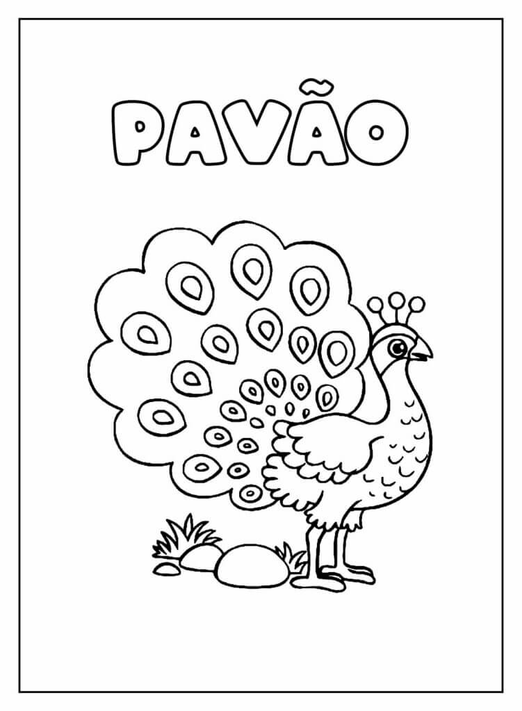 Pavão