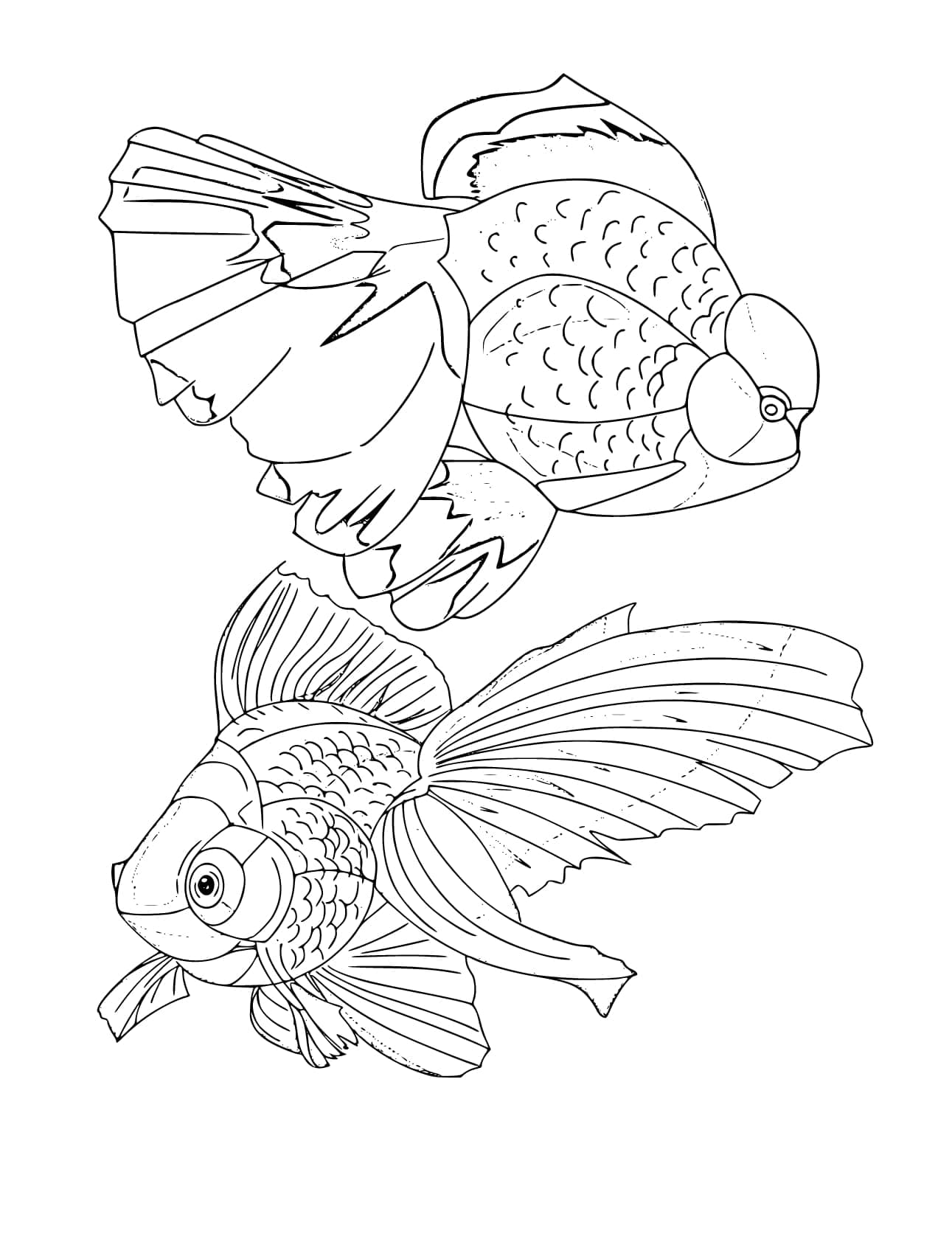 Peixe Dourado