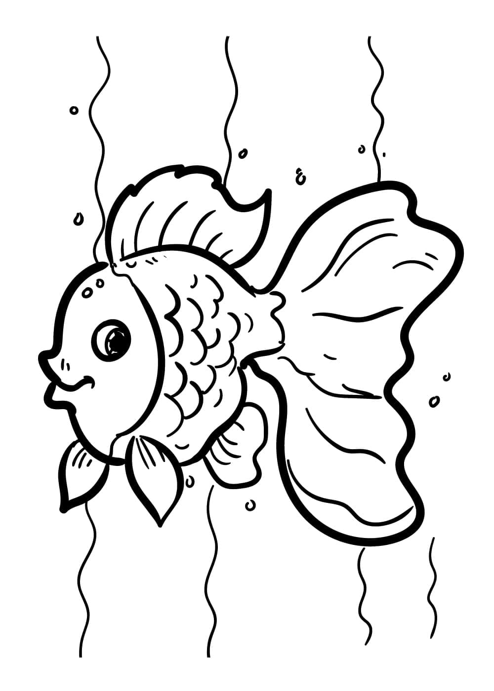 Peixe Dourado