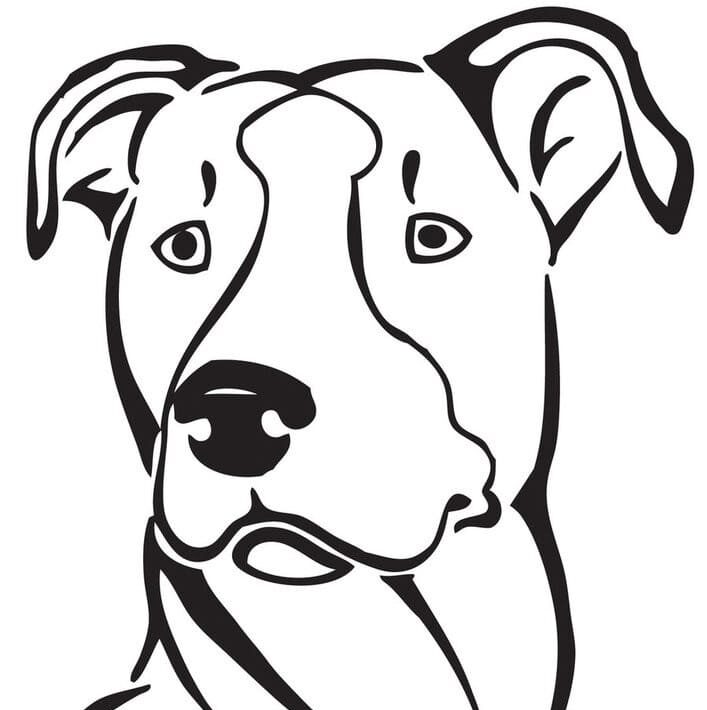 Pitbull