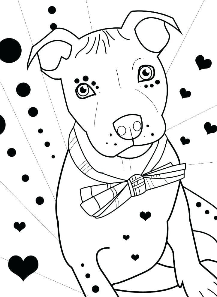 Pitbull