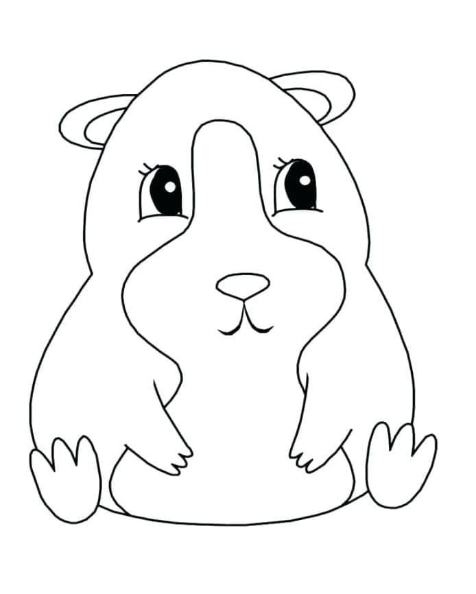 Porquinho da Índia