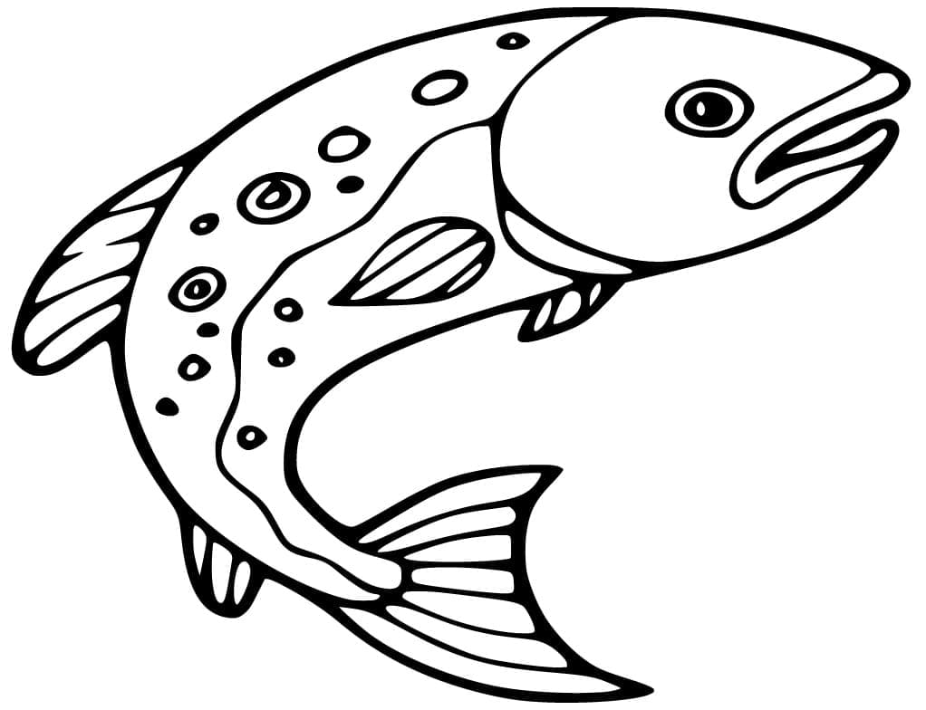 Salmão