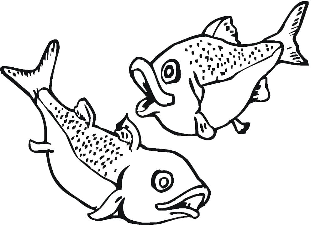Salmão