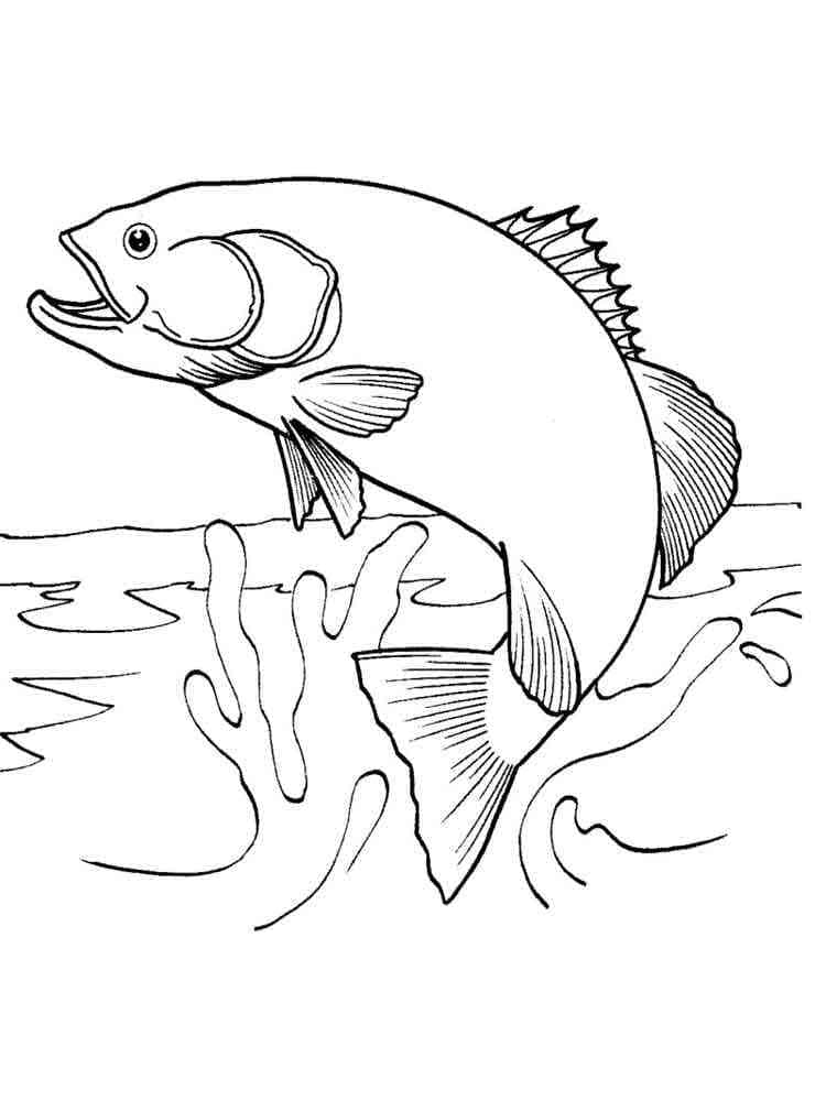 Salmão