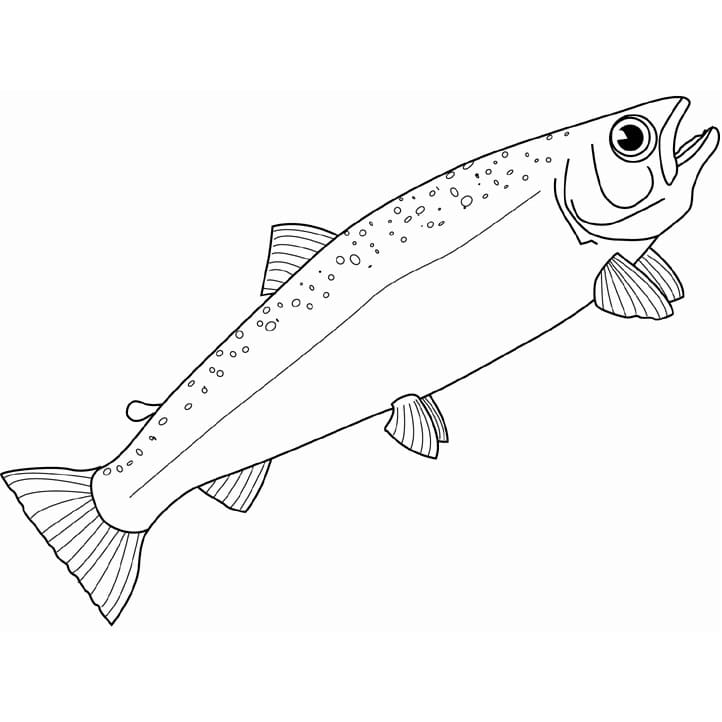 Salmão