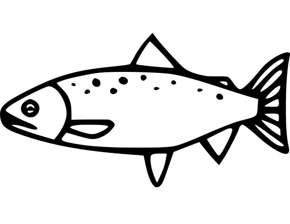 Salmão