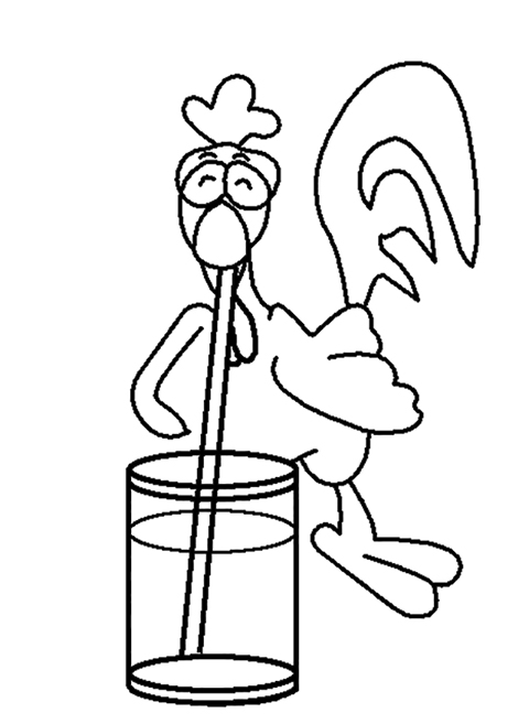 Suco