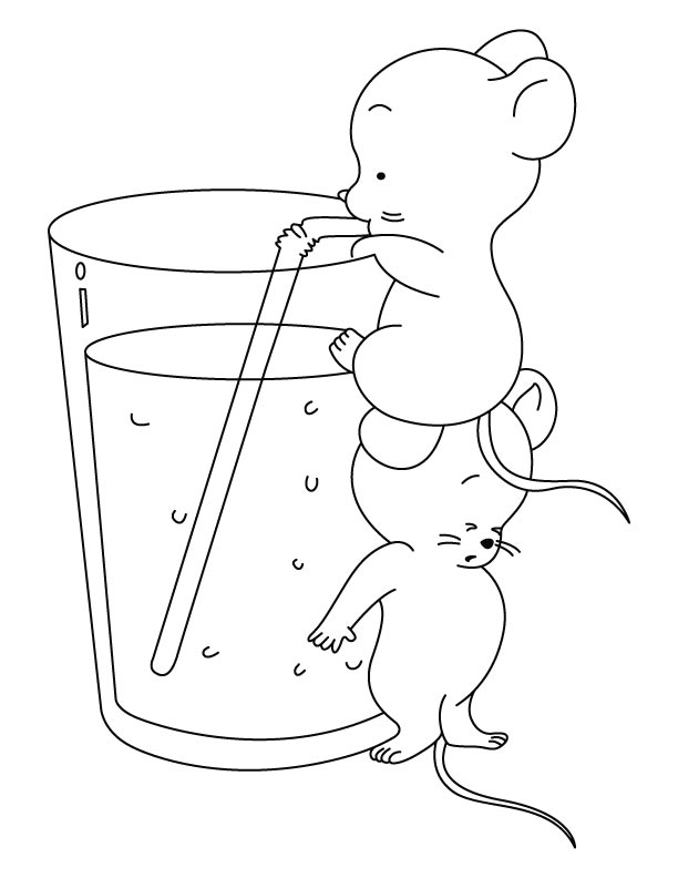 Suco