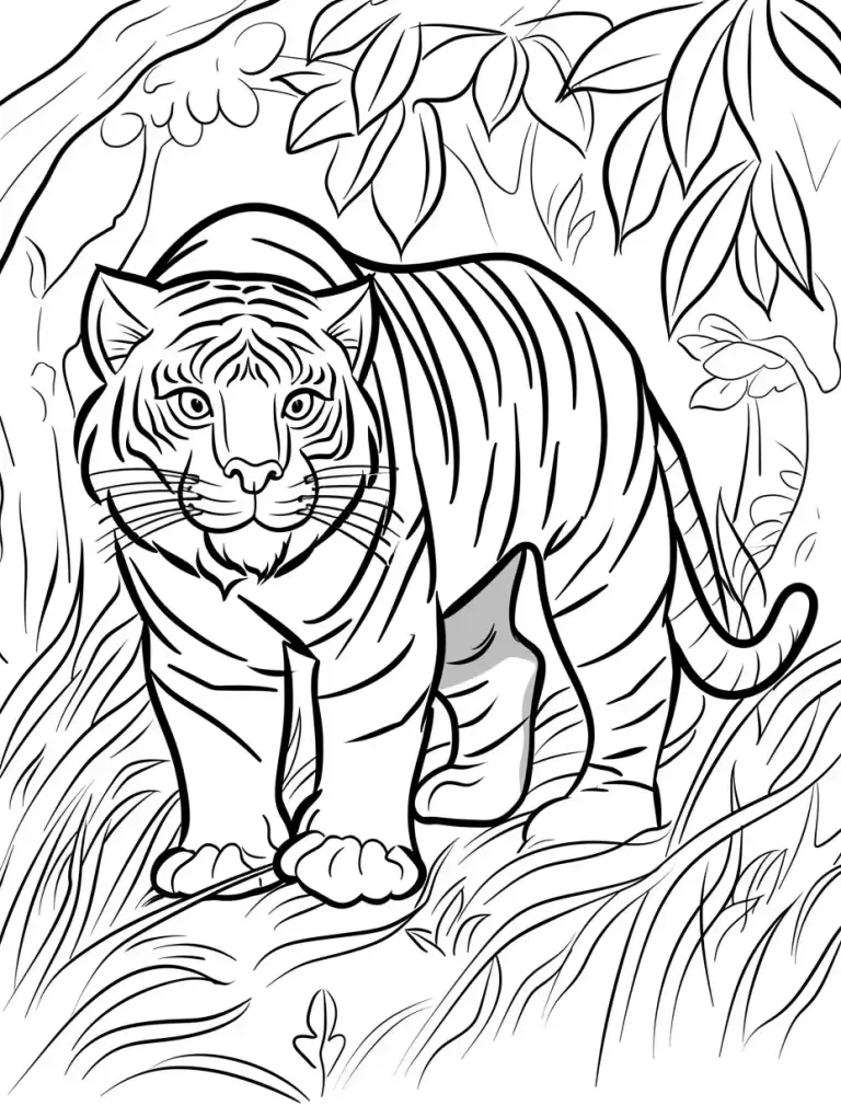 Tigre