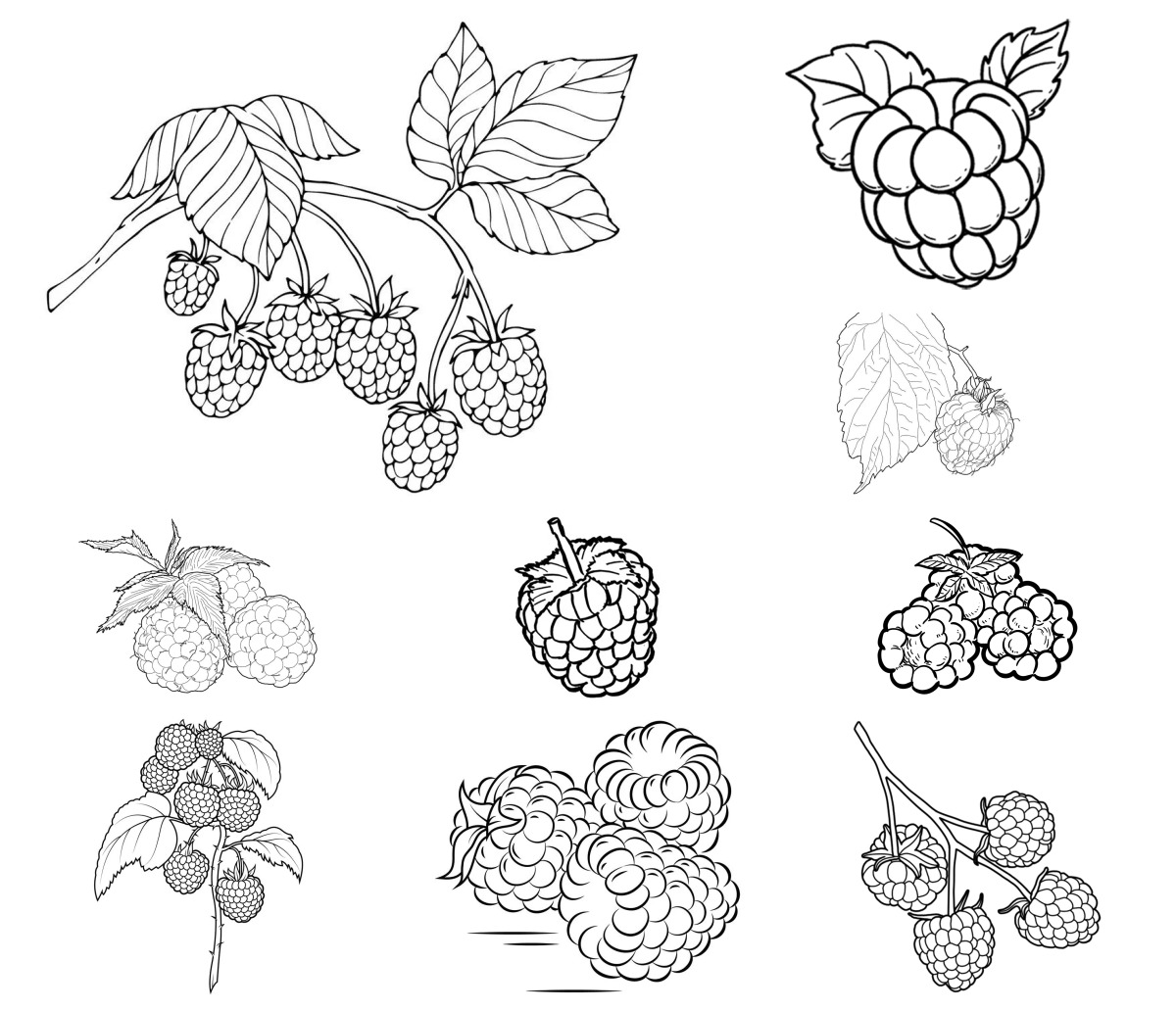 9 desenhos de Framboesa — Para colorir e imprimir