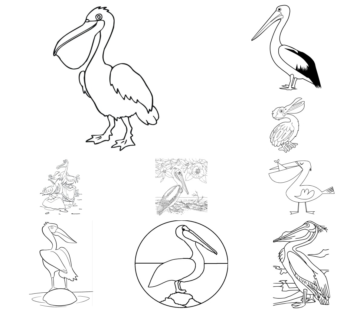 42 desenhos de Pelicano — Para colorir e imprimir