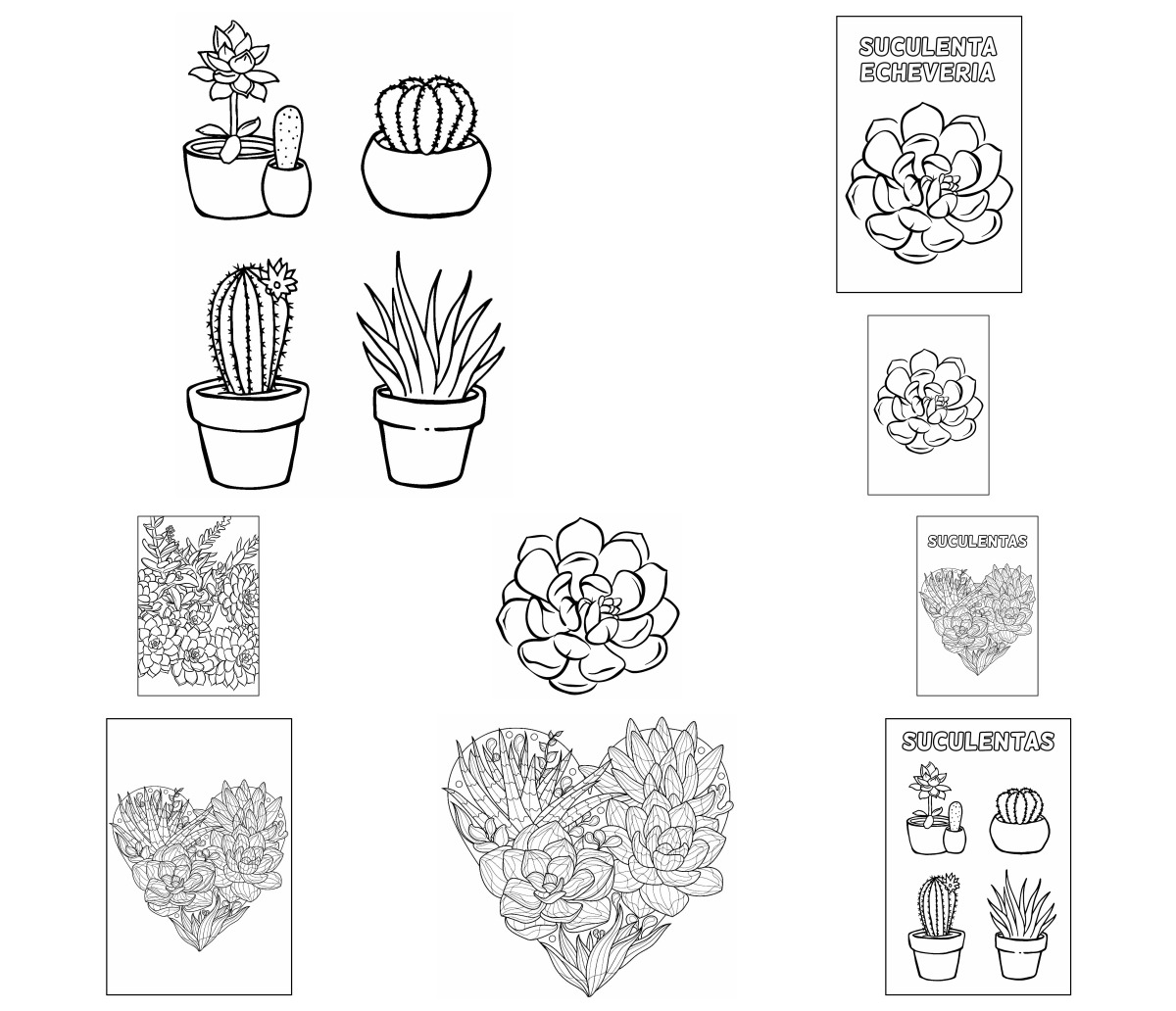 19 desenhos de Suculentas — Para colorir e imprimir
