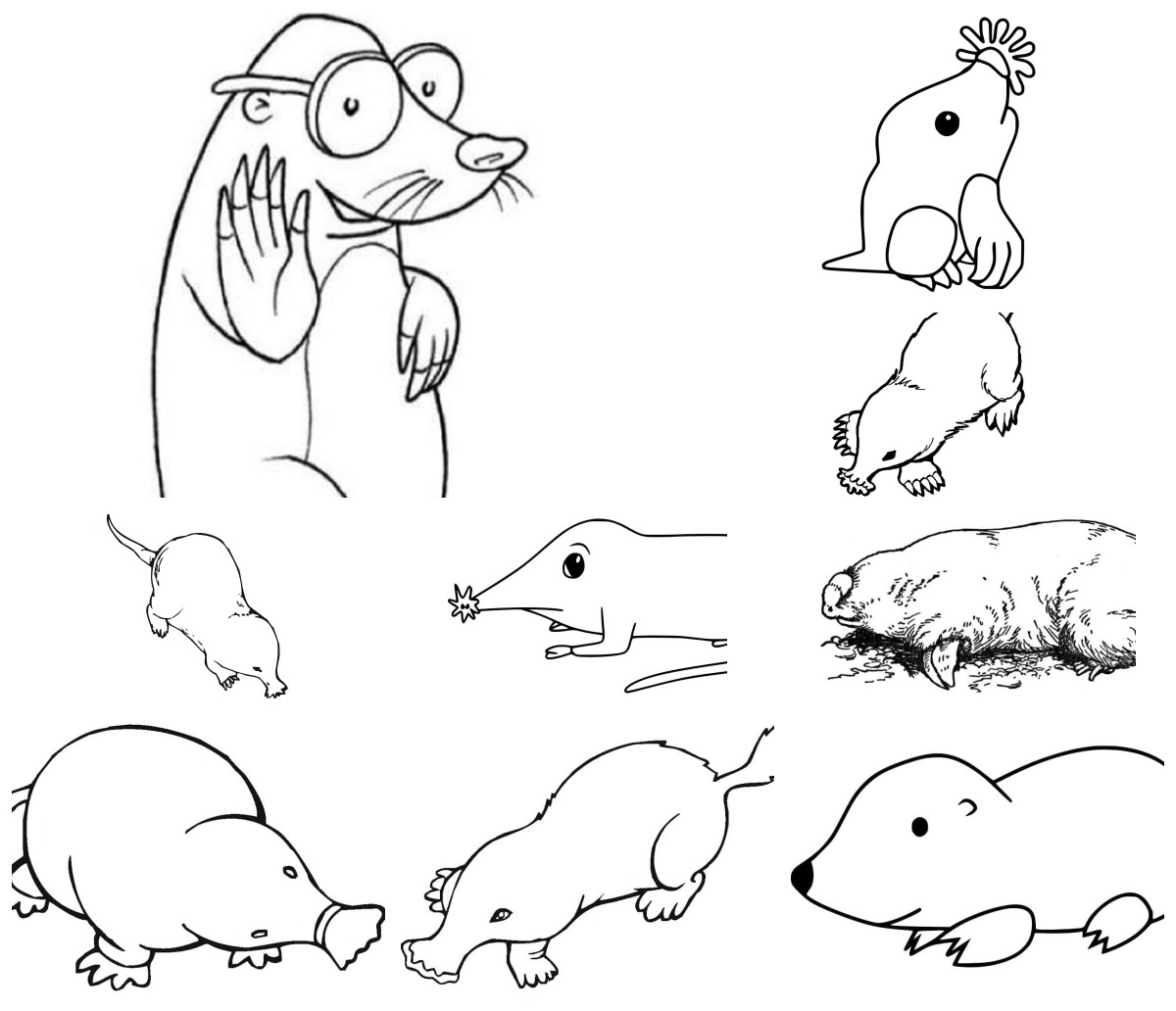 16 desenhos de Toupeira — Para colorir e imprimir 16 desenhos de Toupeira — Para colorir e imprimir