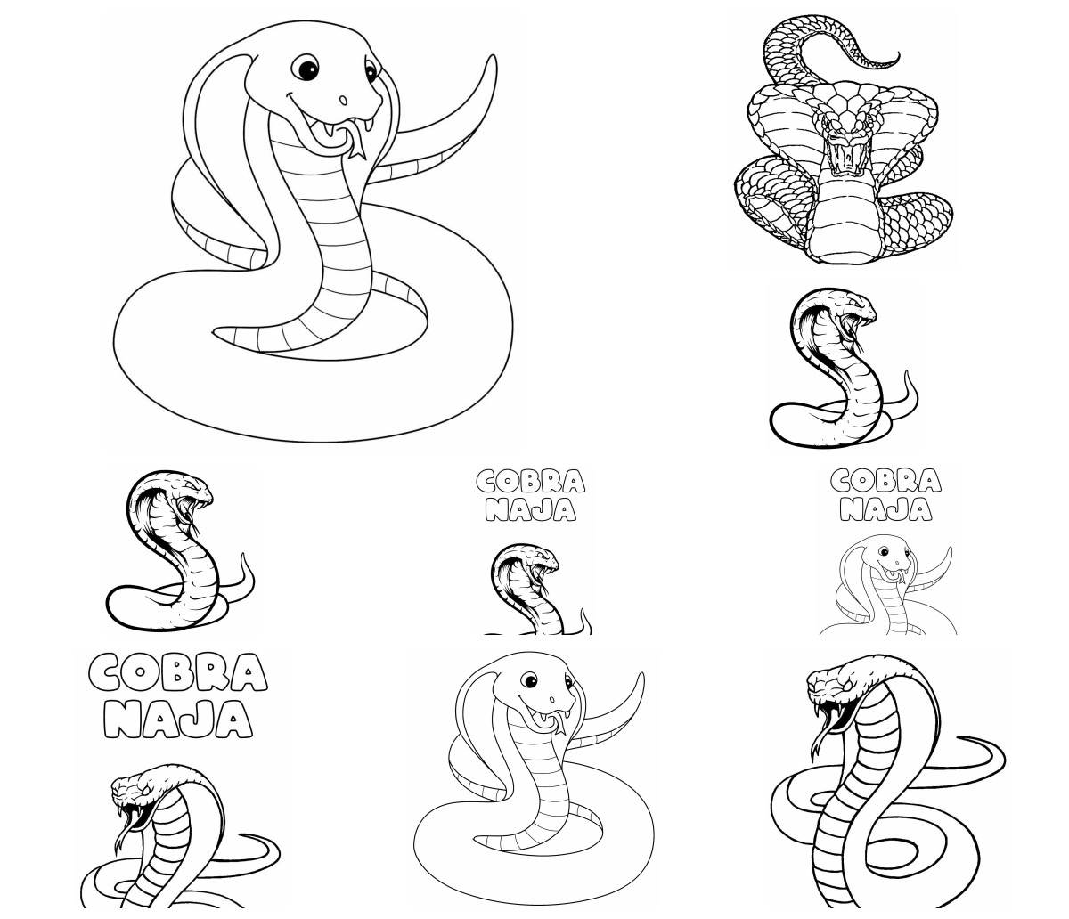 25 desenhos de Cobra Naja — Para colorir e imprimir