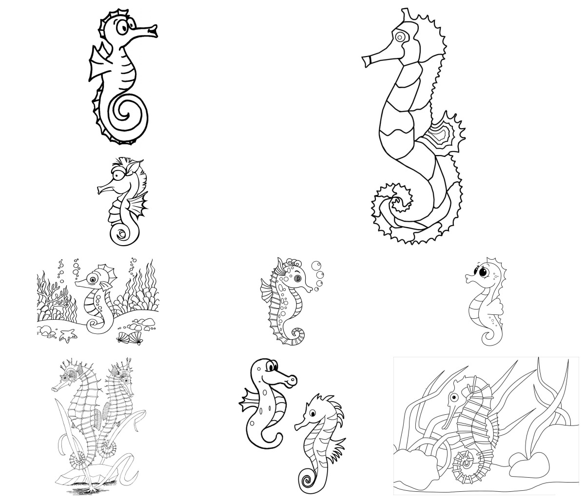 16 desenhos de Cavalo Marinho — Para colorir e imprimir 16 desenhos de Cavalo Marinho — Para colorir e imprimir