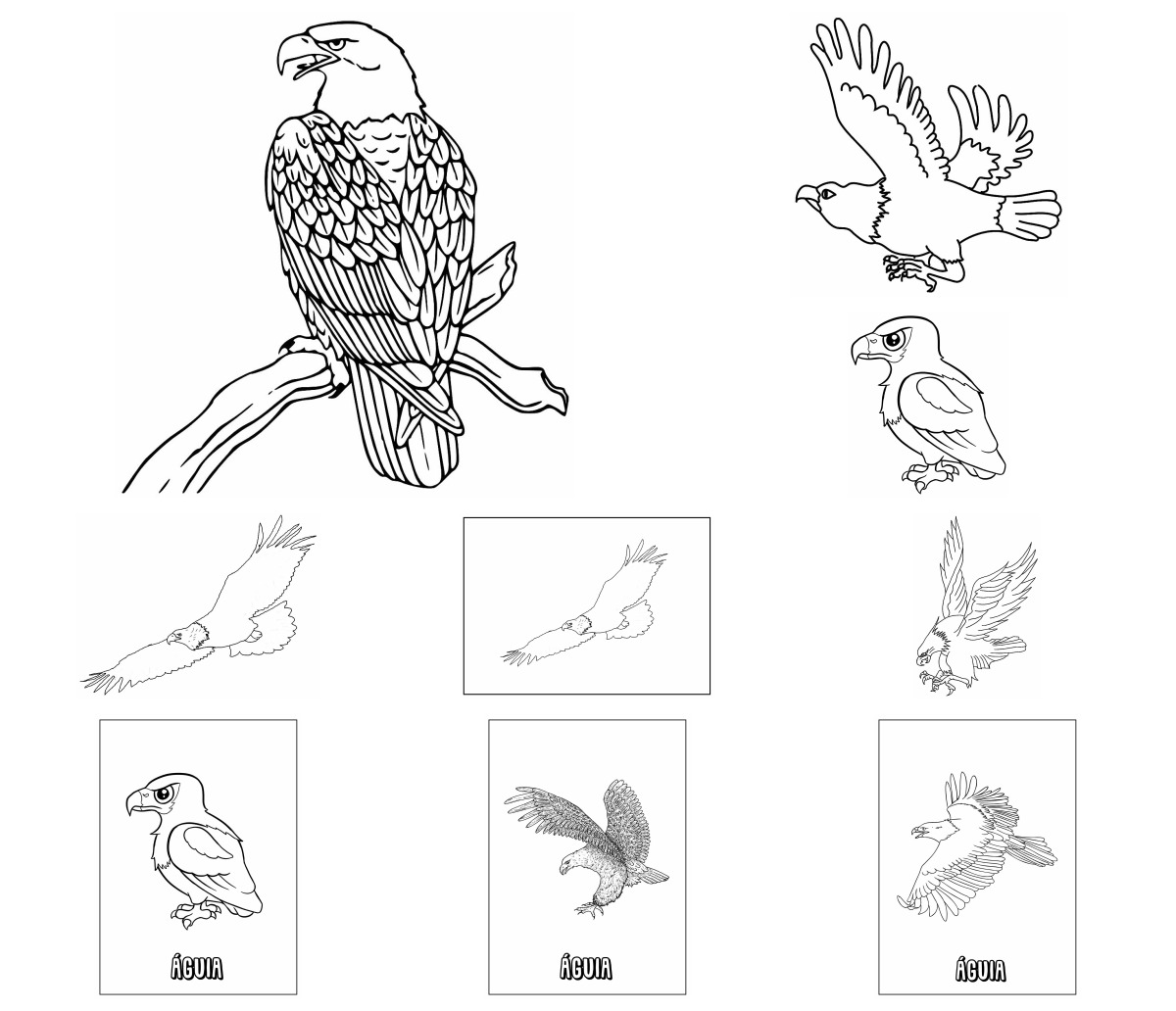 46 desenhos de Águia — Para colorir e imprimir 46 desenhos de Águia — Para colorir e imprimir