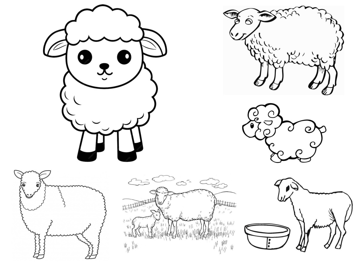 21 desenhos de Ovelha — Para colorir e imprimir