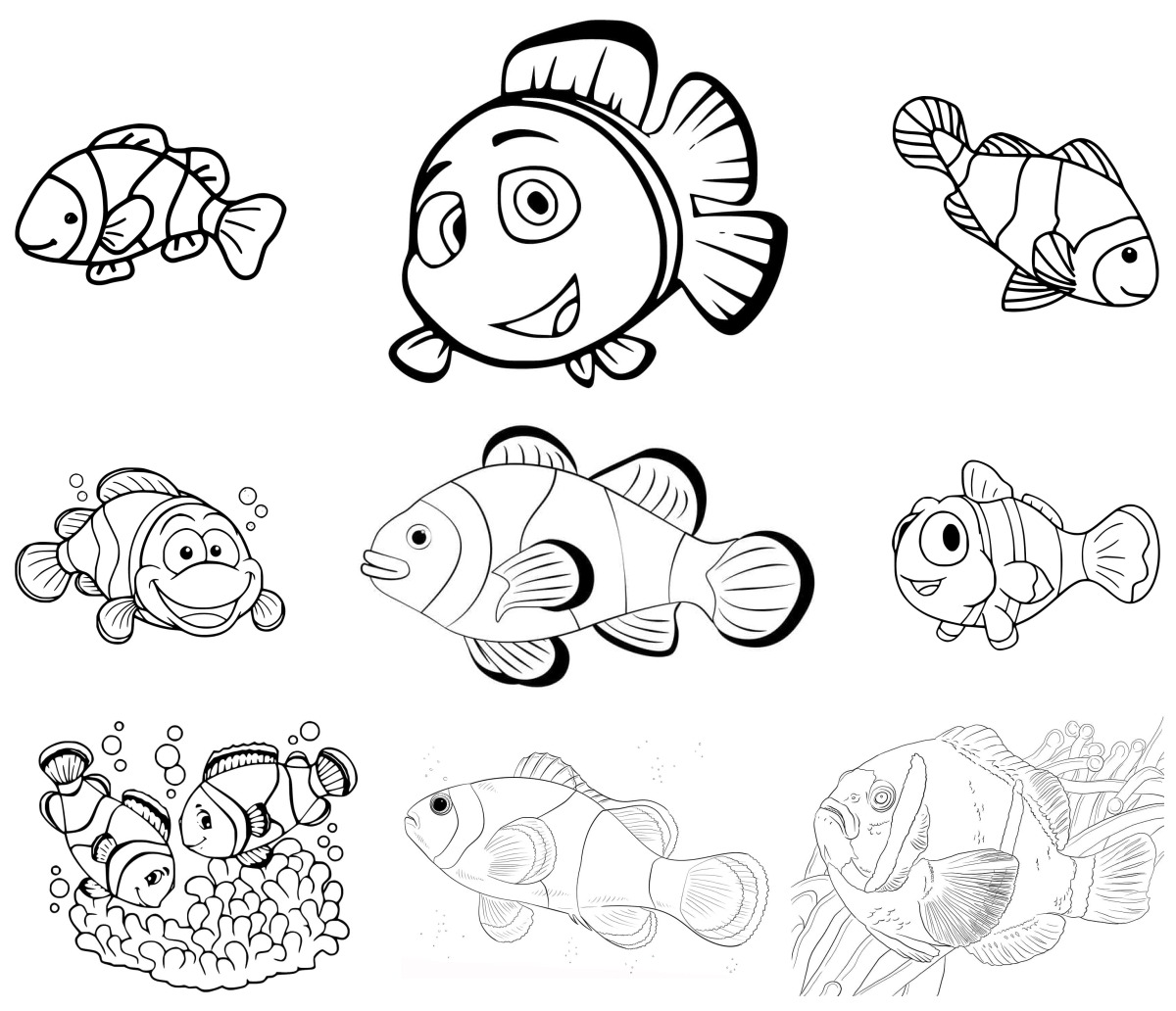 24 desenhos de Peixe Palhaço — Para colorir e imprimir 24 desenhos de Peixe Palhaço — Para colorir e imprimir