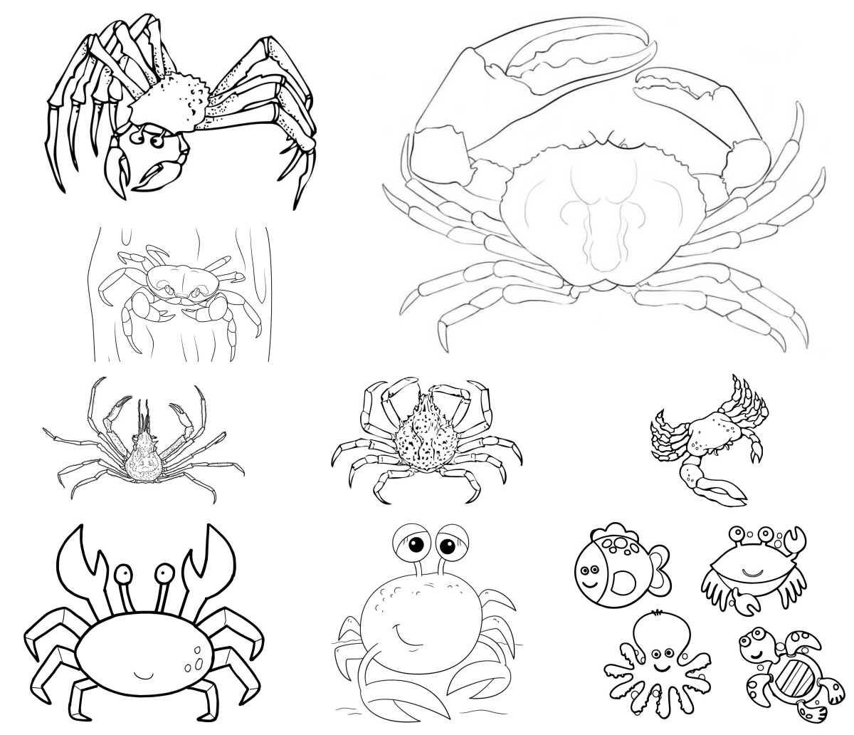 16 desenhos de Caranguejo — Para colorir e imprimir