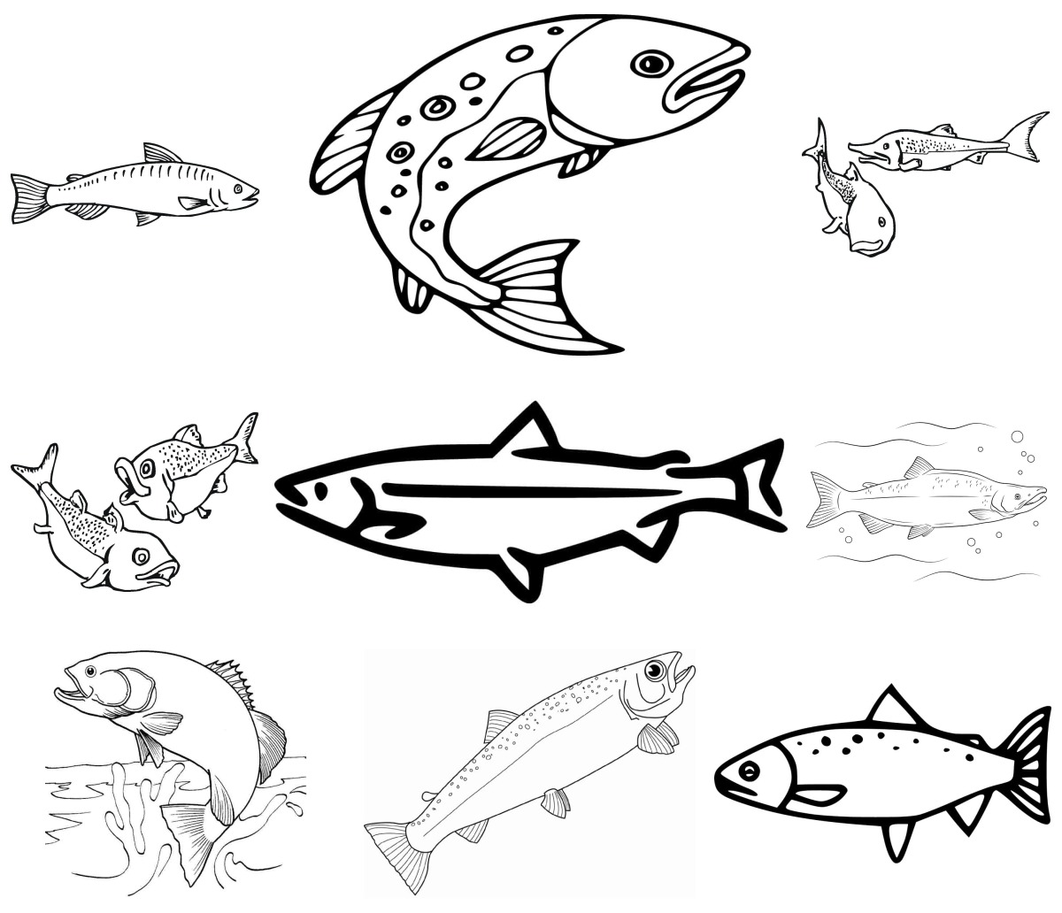 30 desenhos de Salmão — Para colorir e imprimir