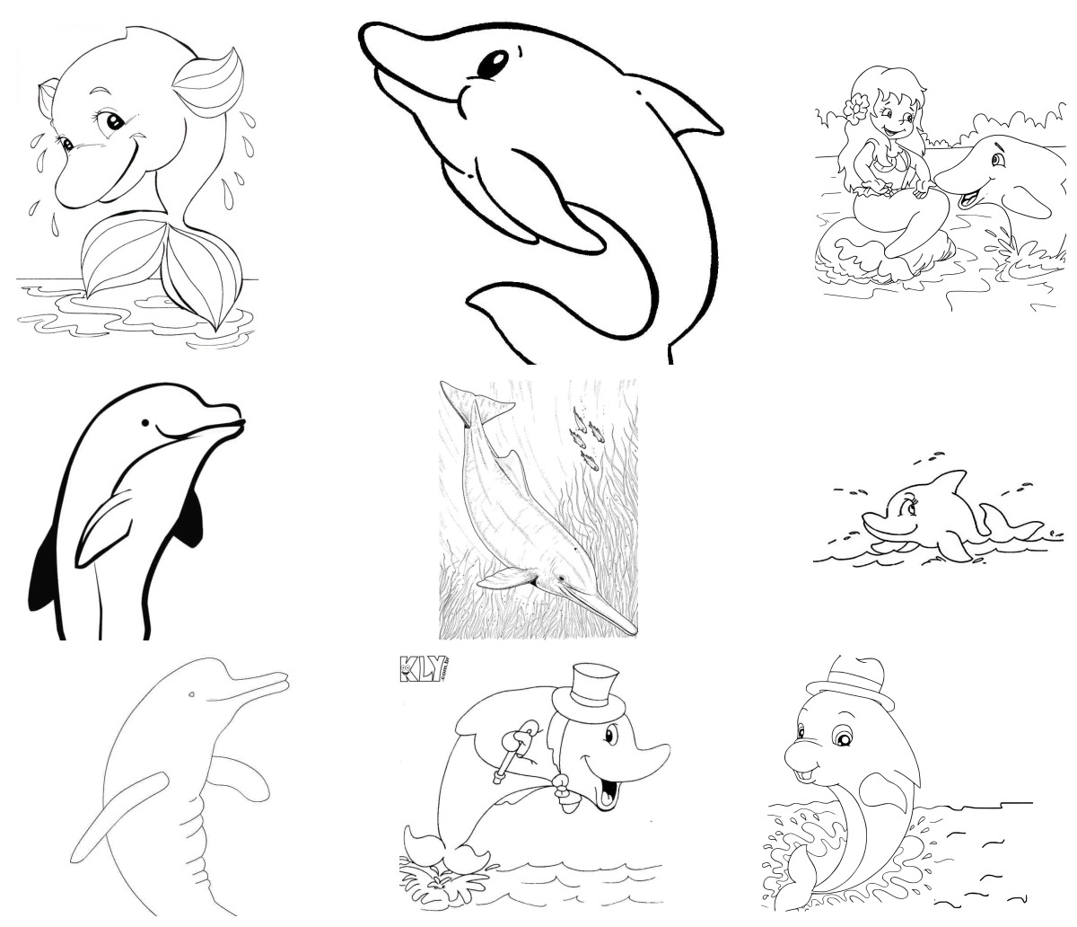 20 desenhos de Boto Cor de Rosa — Para colorir e imprimir 20 desenhos de Boto Cor de Rosa — Para colorir e imprimir
