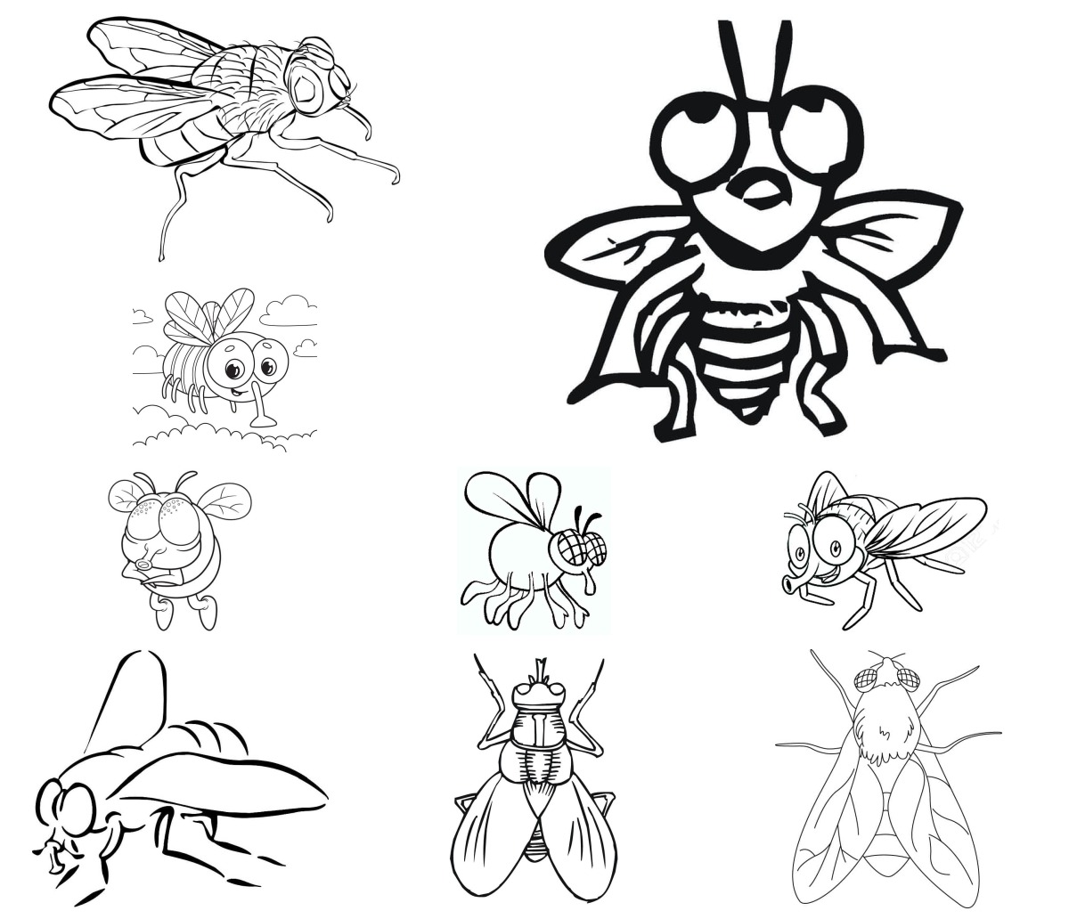 30 desenhos de Mosca — Para colorir e imprimir