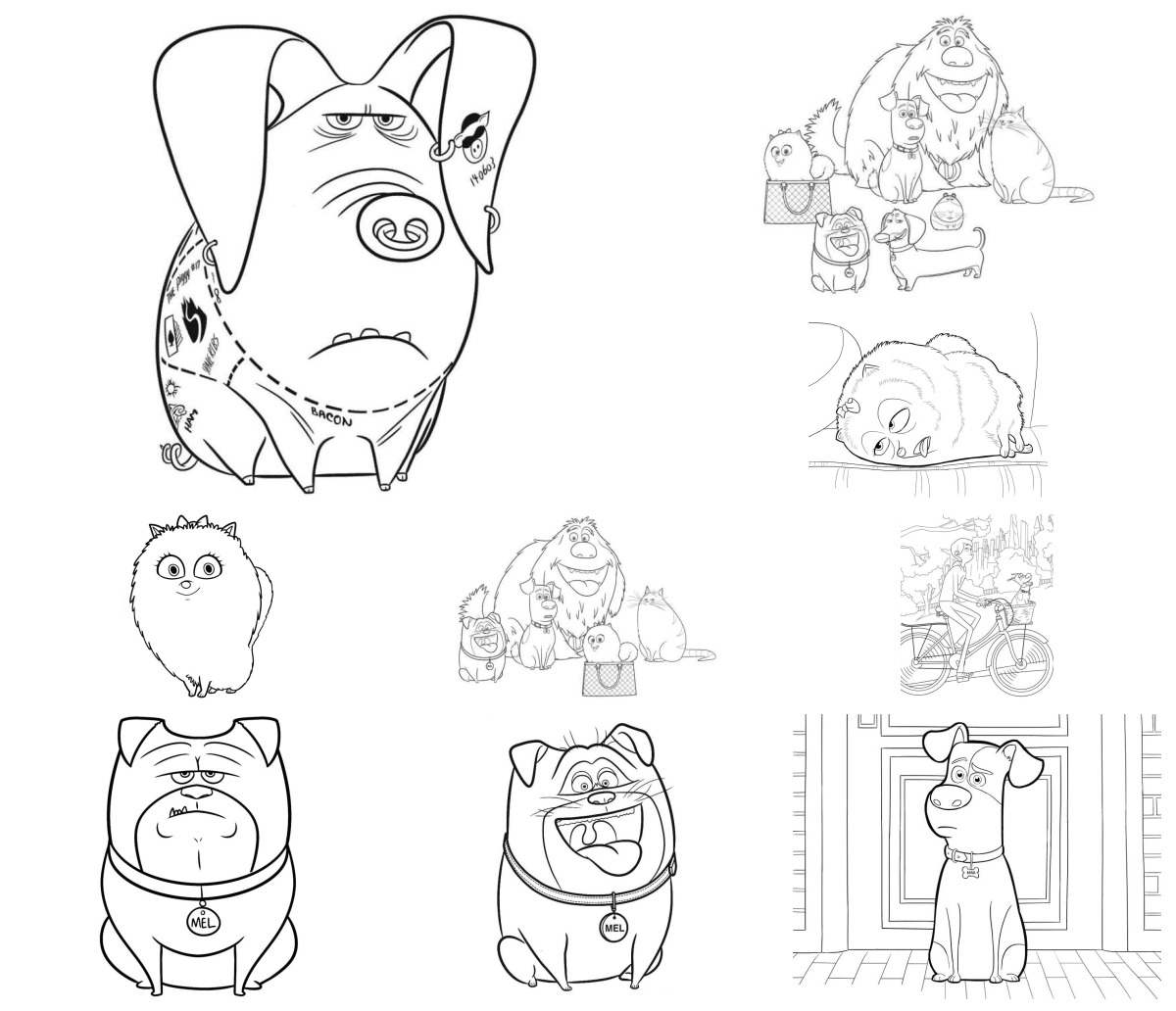 29 desenhos de Pets – A Vida Secreta dos Bichos — Para colorir e imprimir