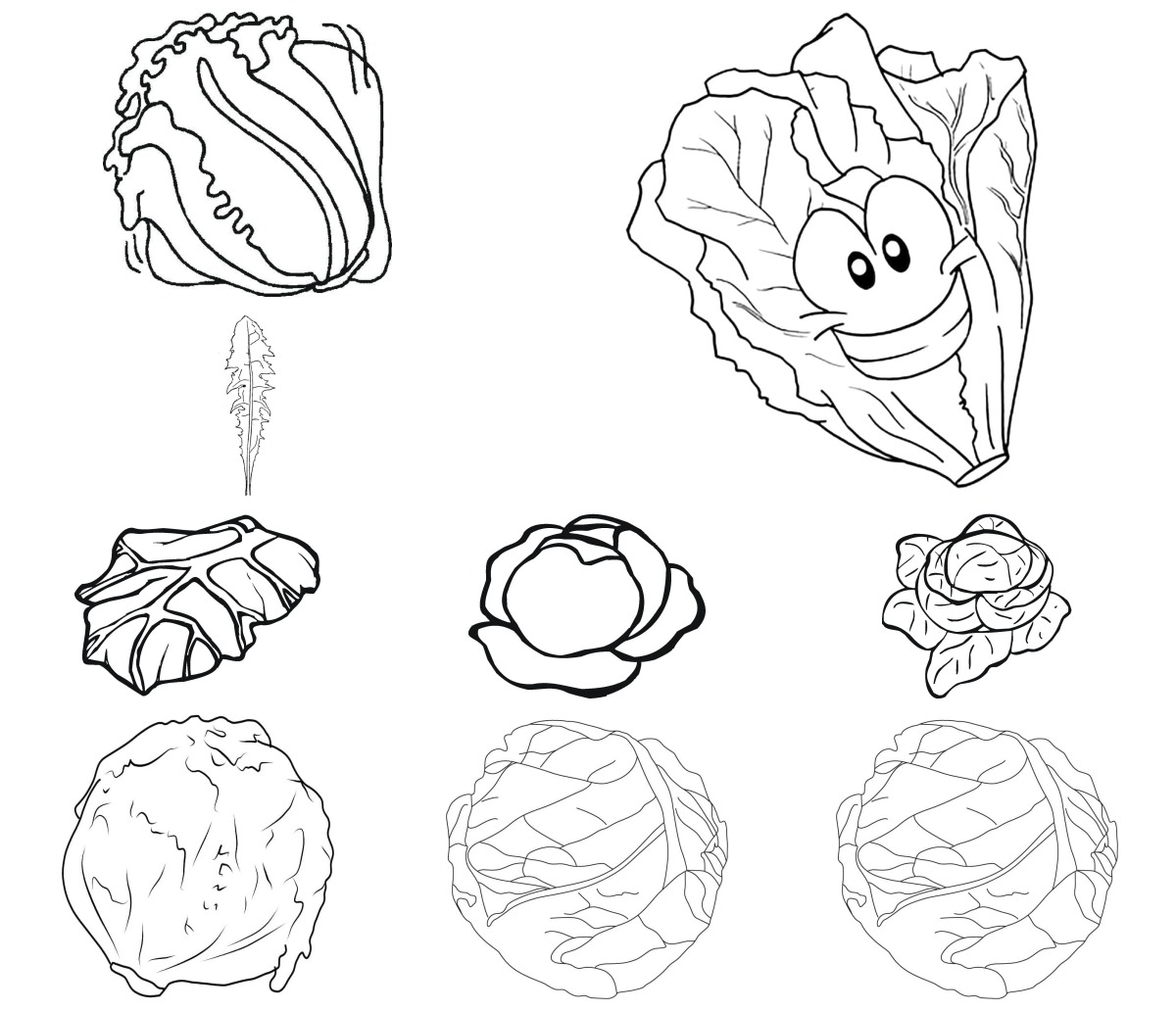 21 desenhos de Alface — Para colorir e imprimir 21 desenhos de Alface — Para colorir e imprimir