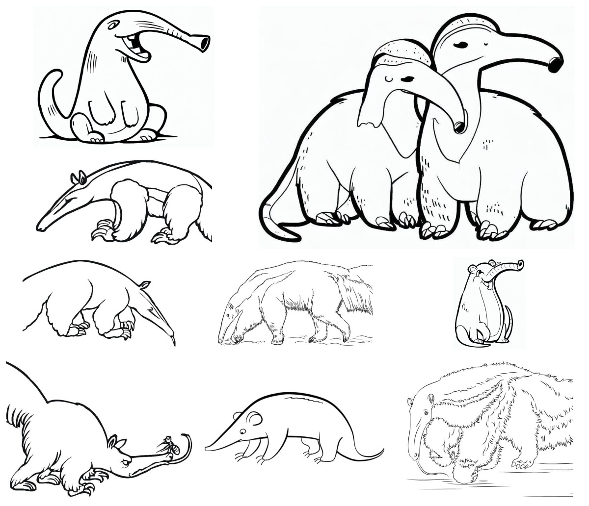 19 desenhos de Tamanduá — Para colorir e imprimir 19 desenhos de Tamanduá — Para colorir e imprimir