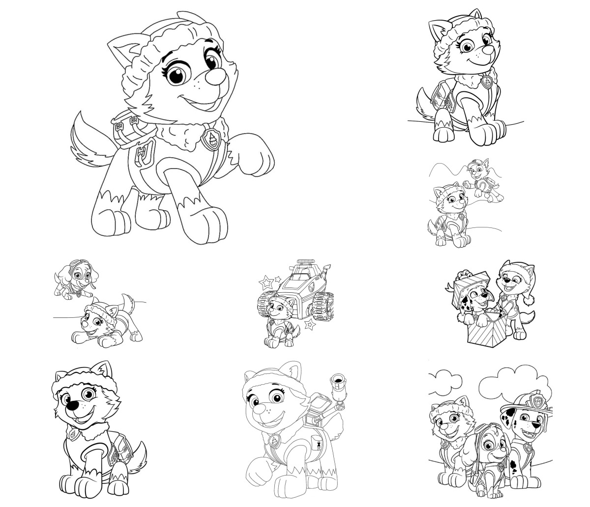 17 desenhos de Everest (Patrulha Canina) — Para colorir e imprimir