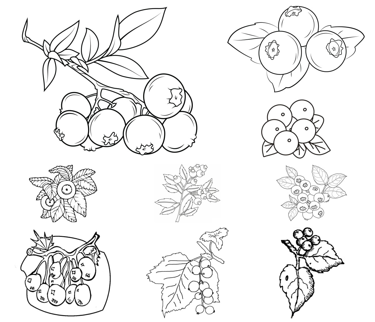 12 desenhos de Mirtilo — Para colorir e imprimir