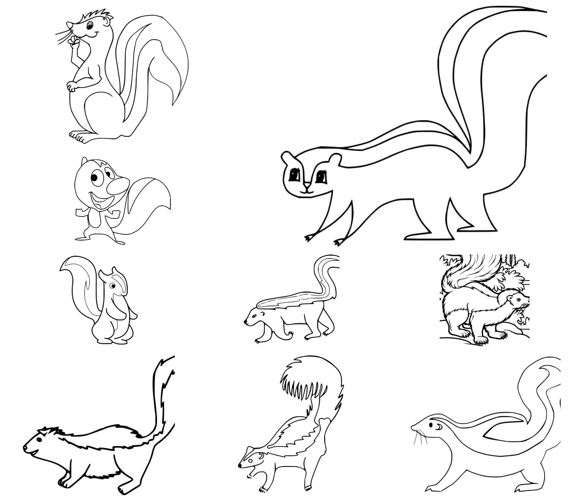 15 desenhos de Gambá — Para colorir e imprimir 15 desenhos de Gambá — Para colorir e imprimir