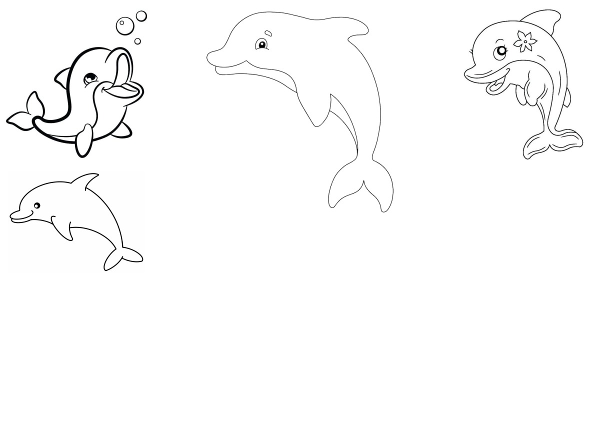11 desenhos de Golfinhos — Para colorir e imprimir