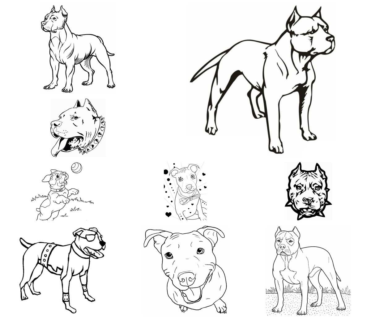 20 desenhos de Pitbull — Para colorir e imprimir